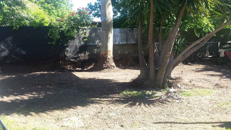 Full backyard makeover at Dernancourt